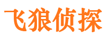 陇县市私家侦探